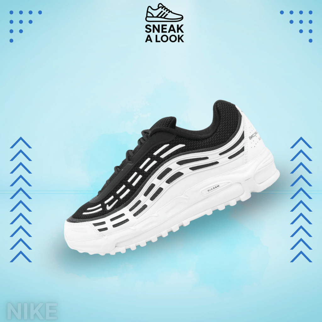 CDG Homme Plus x Nike Air Max