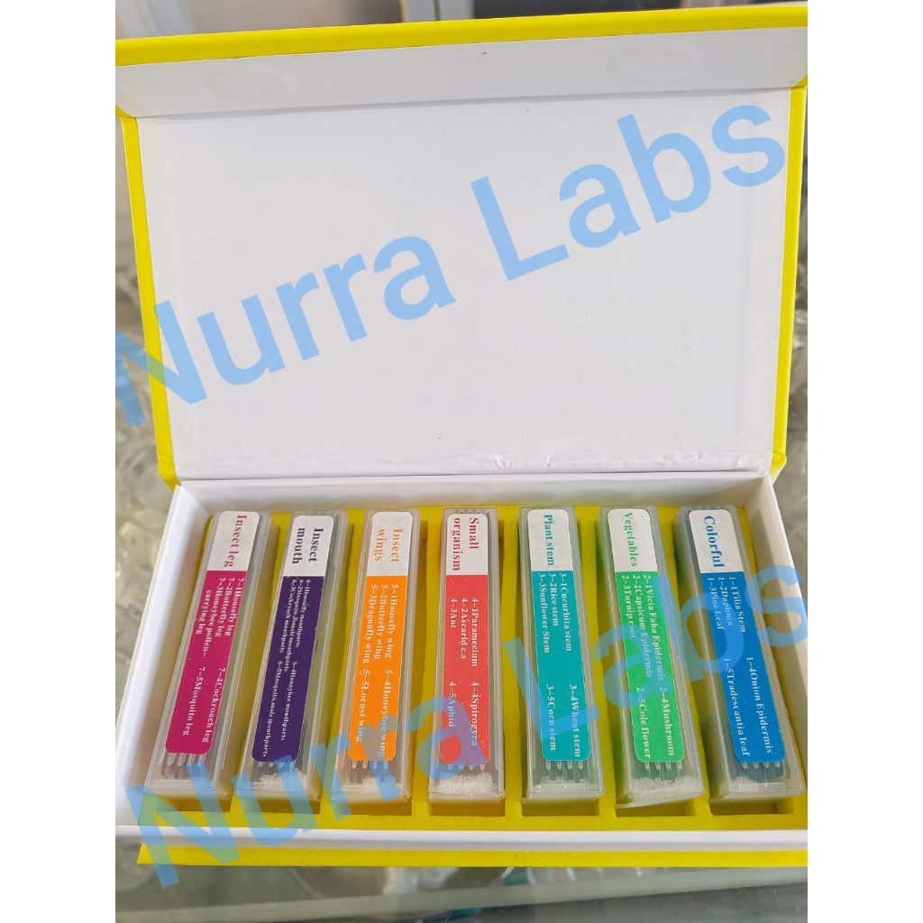 Preparat Mikroskop Sampel Slide /Microscope Specimen Slide Biological Prepared 5 Slide