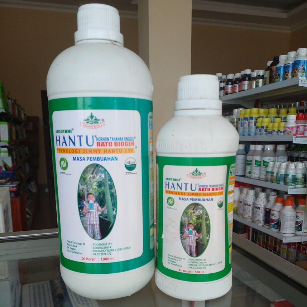 JIMMY HANTU PEMBUAHAN