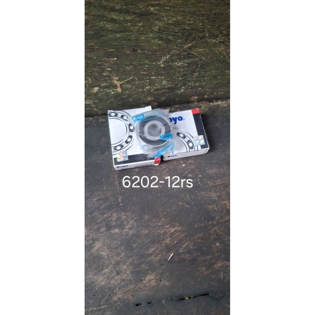bearing 6202-12rs