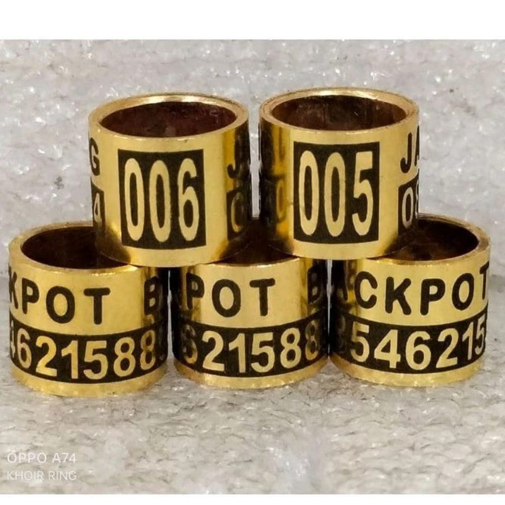 RING BURUNG LASER KUNINGAN MERPATI DLL