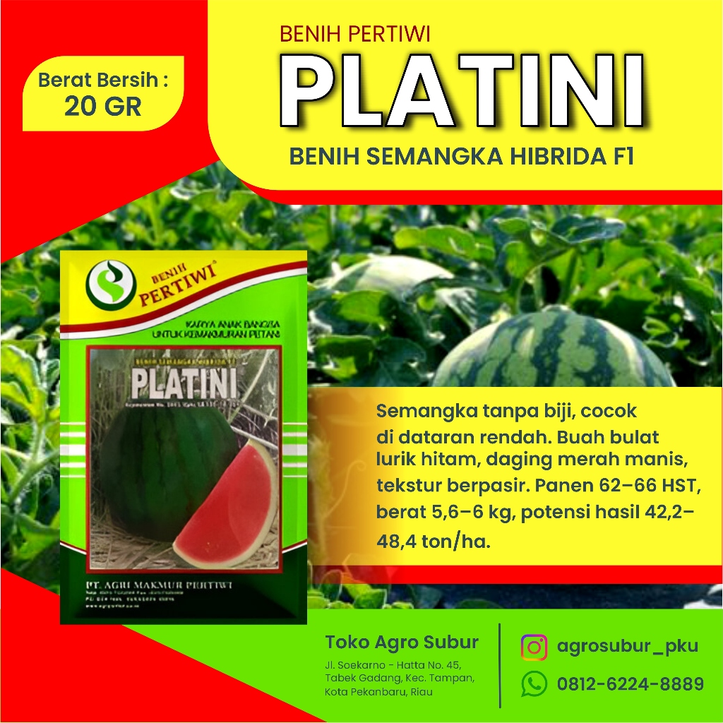 BENIH SEMANGKA NON BIJI PLATINI PERTIWI 20 GR
