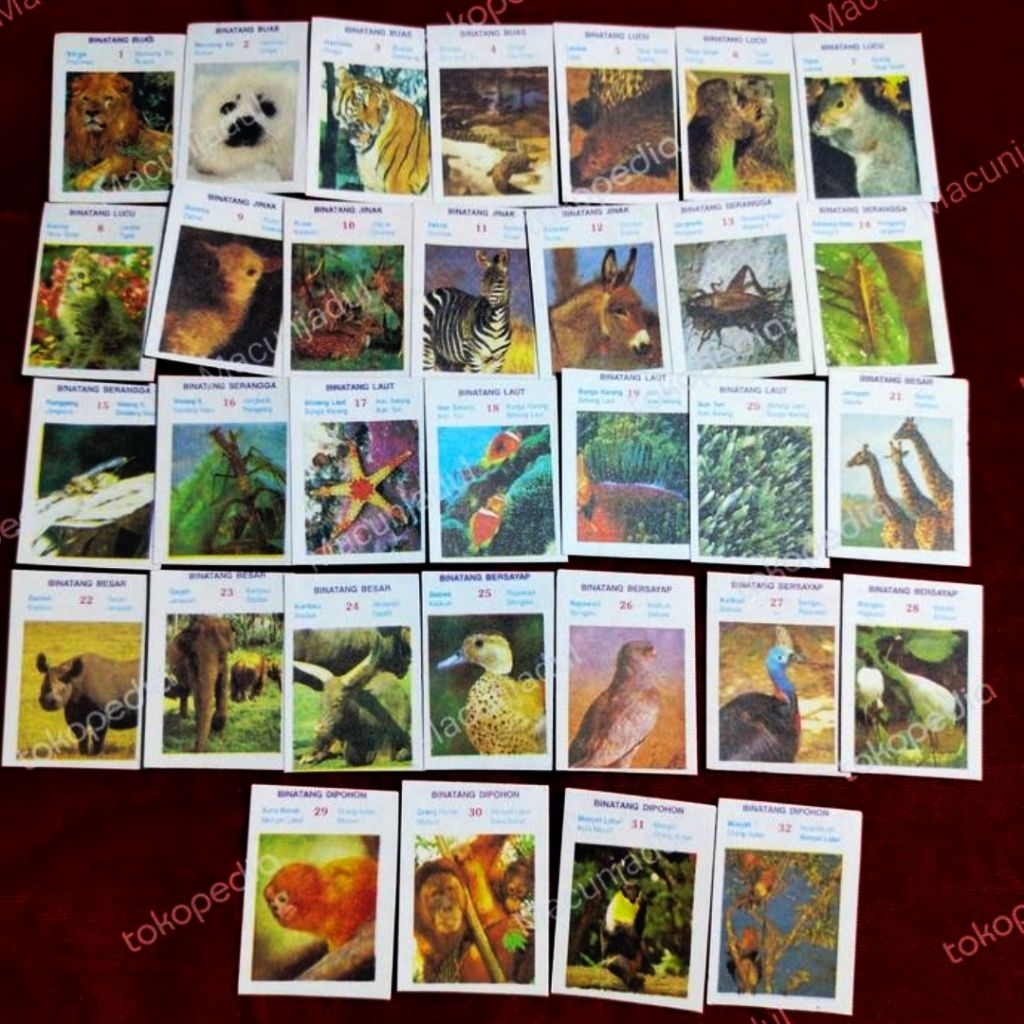 KWARTED KECIL BINATANG, KWARTED JADUL, GAMBARAN JADUL, UMBUL JADUL, MAINAN JADUL, MAINAN NOSTALGIA 9