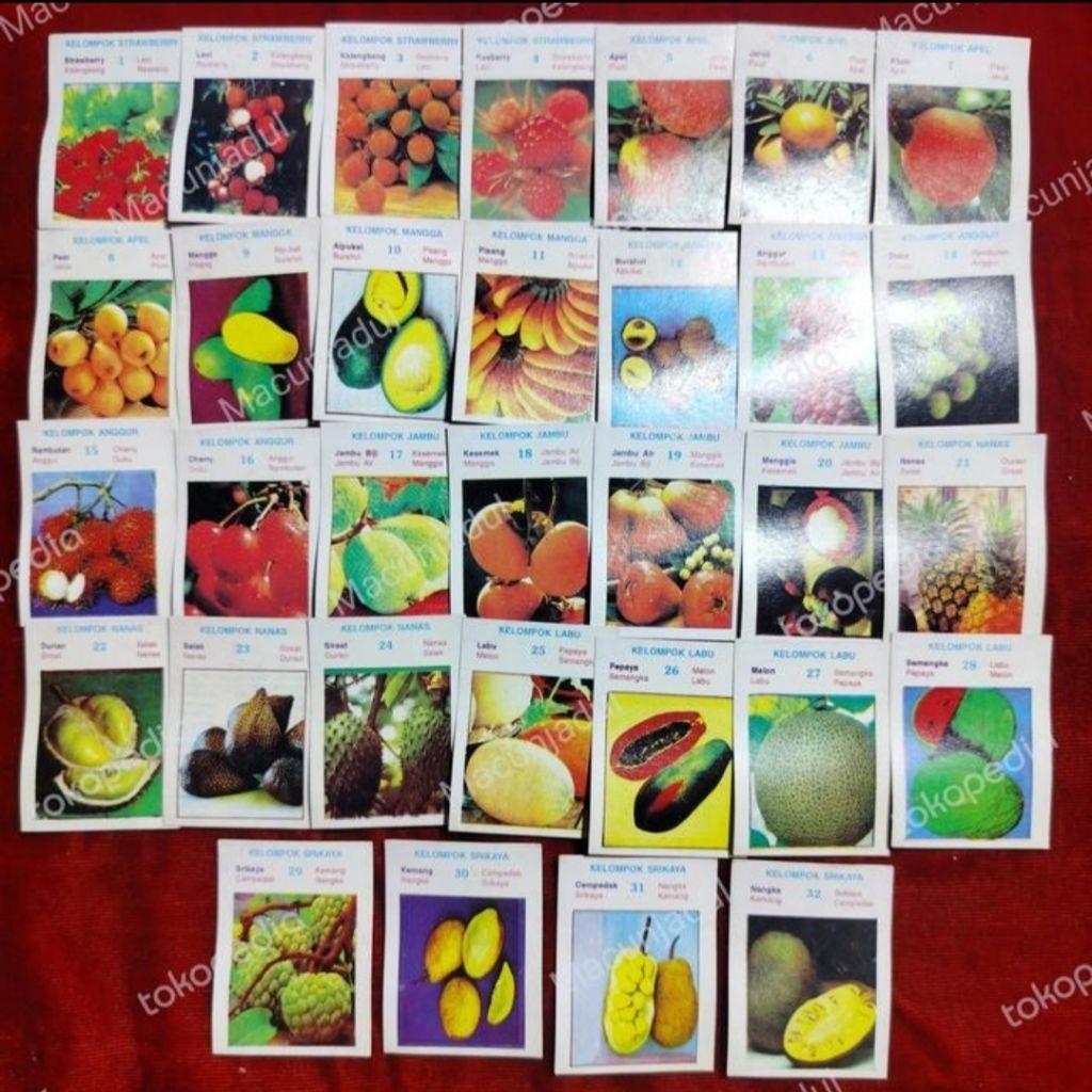 KWARTED KECIL BUAH, KWARTED JADUL, GAMBARAN JADUL, UMBUL JADUL, MAINAN NOSTALGIA 90AN