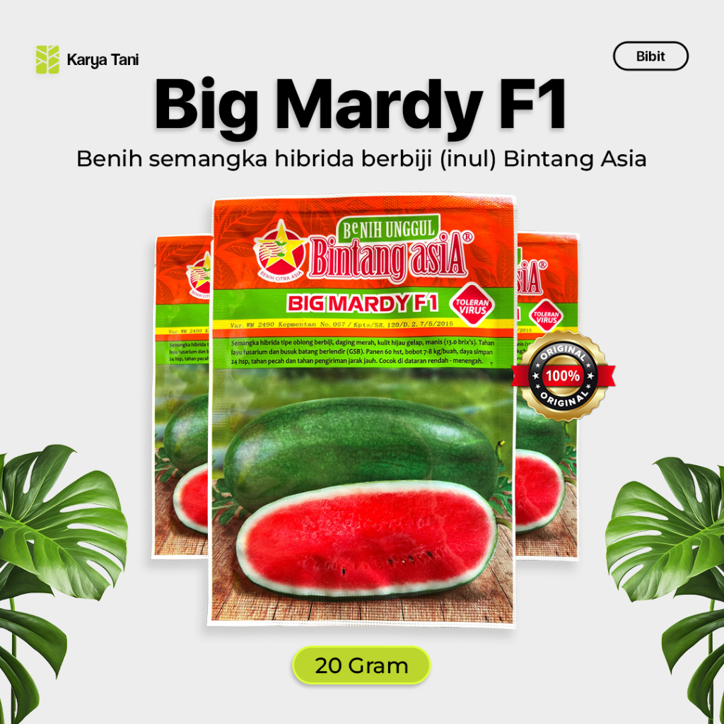 Benih Semangka F1 Benih semangka Hibrida Big Mardy F1 20 gram Bintang Asia Benih Semangka Inul F1