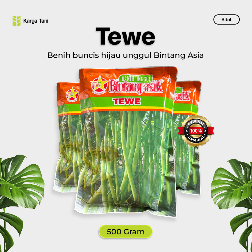 BENIH BUNCIS TEWE 500 GRAM BINTANG ASIA