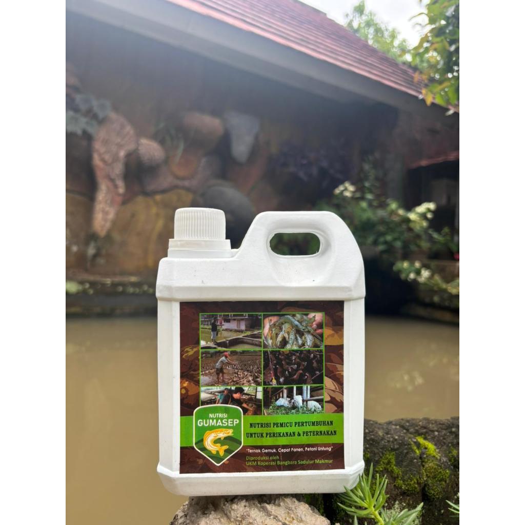 NUTRISI GUMASEP / NUTRISI PEMICU PERTUMBUHAN UNTUK PERIKANAN & PETERNAKAN / NUTRISI TERNAK / NUTRISI