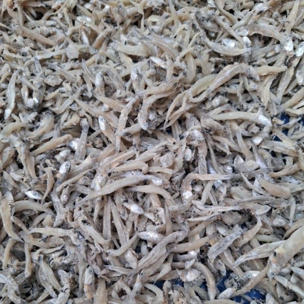 PROMO ikan asin teri jengki 1 kg