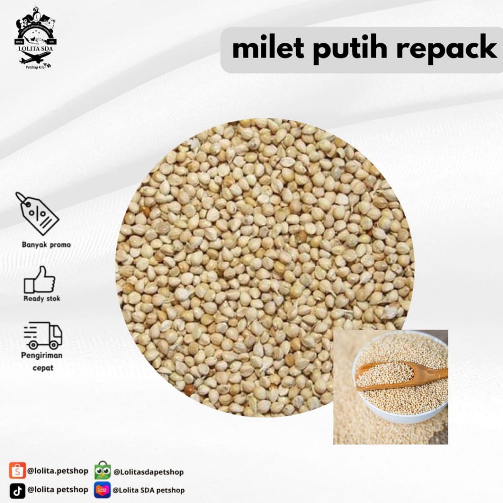 PAKAN BURUNG LOVEBIRD MILET PUTIH VITA KILOAN MILET PUTIH