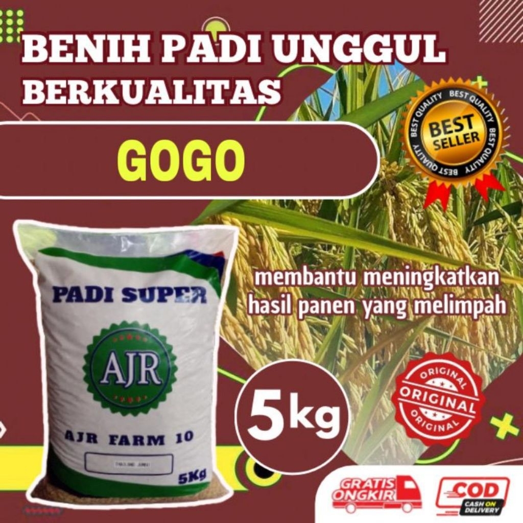 Benih padi unggul Gogo 5kg original