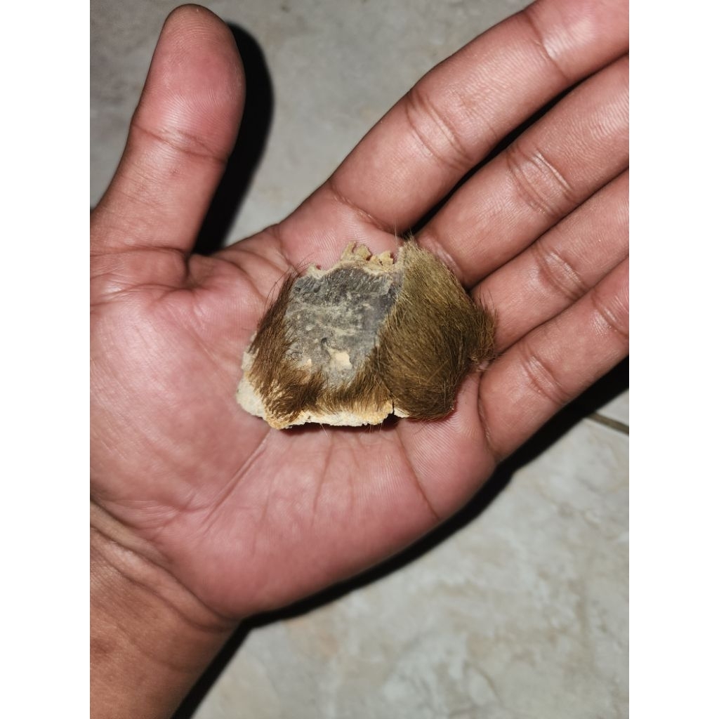 barang jadul kuno skltgdbalhrm peninggalan mbah