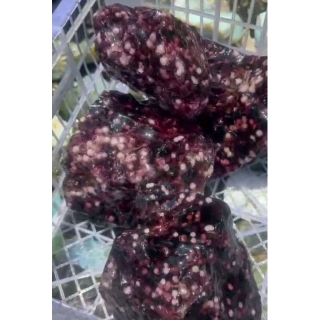 Batu Bahan Obsidian Ungu Bintik 1 kg