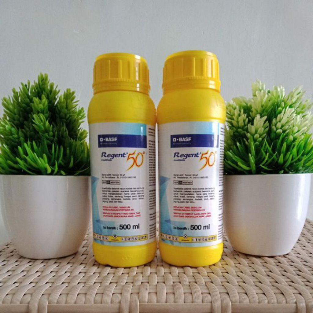 Regent 500ml