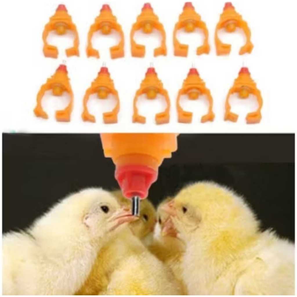 Niple Ayam Tempat minum ayam