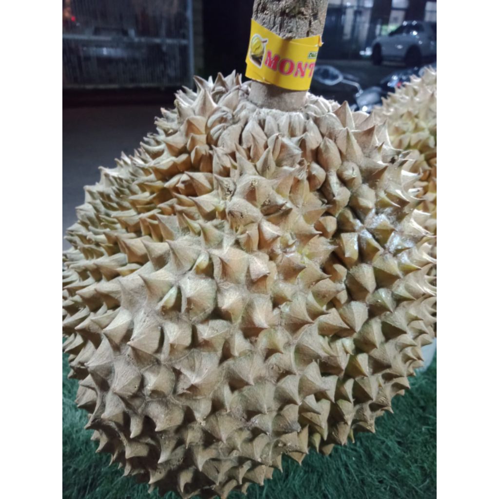 DURIAN MONTONG BULAT/UTUH 5KG//