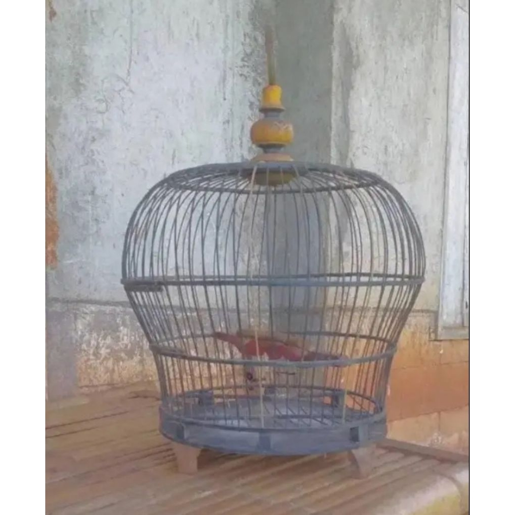 sangkar puter pelung