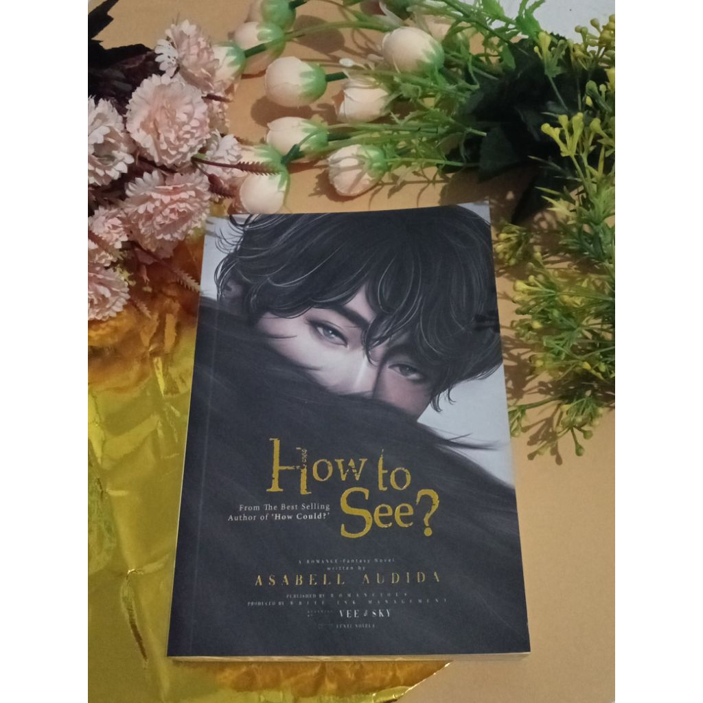 Novel How To See By Asabell Audida