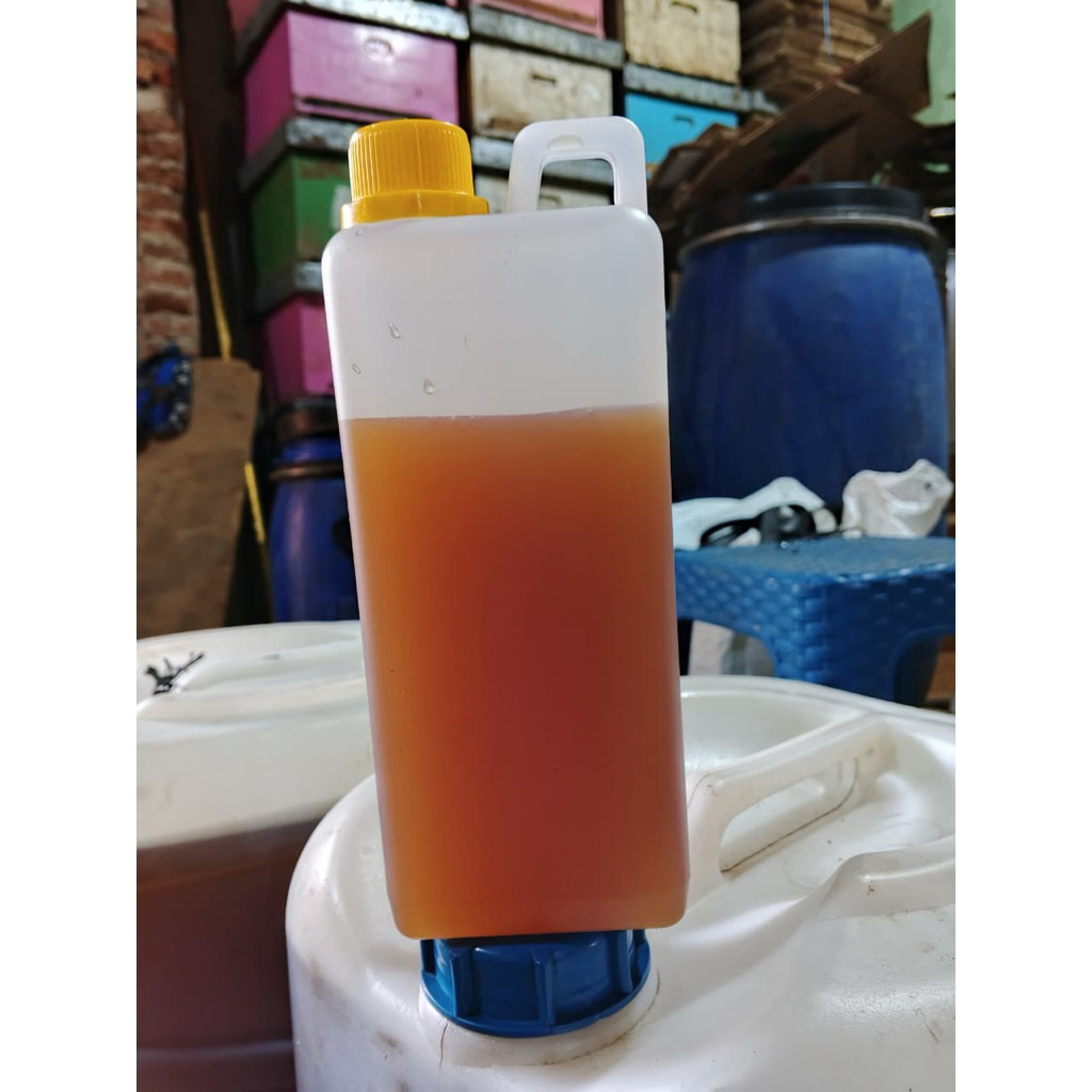 Madu murni nektar kayu putih 1000 gram