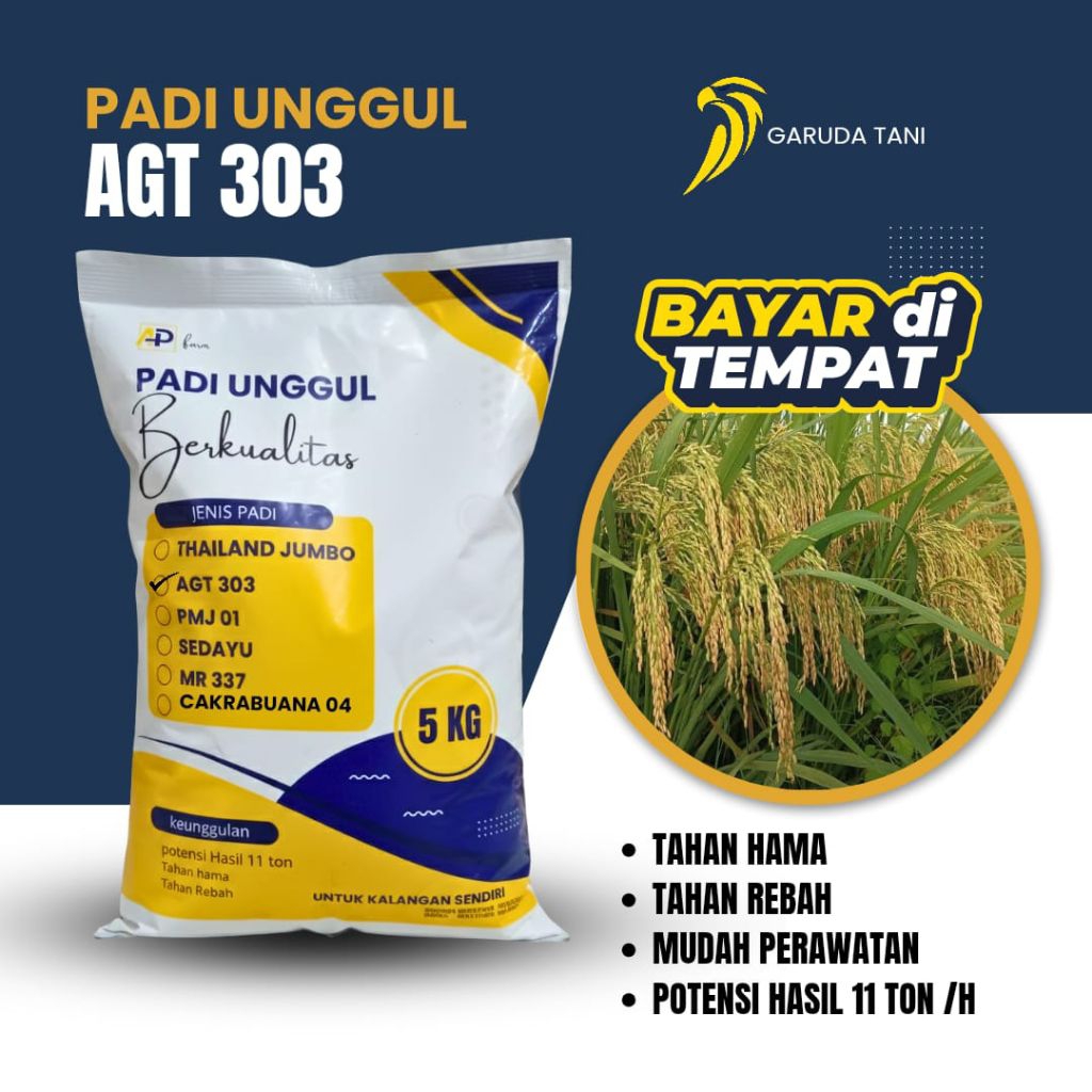 bibit padi agt 303 bibit padi agt 303 kemasan 5kg original panen lebih maksimal
