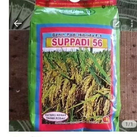 Supadi 56