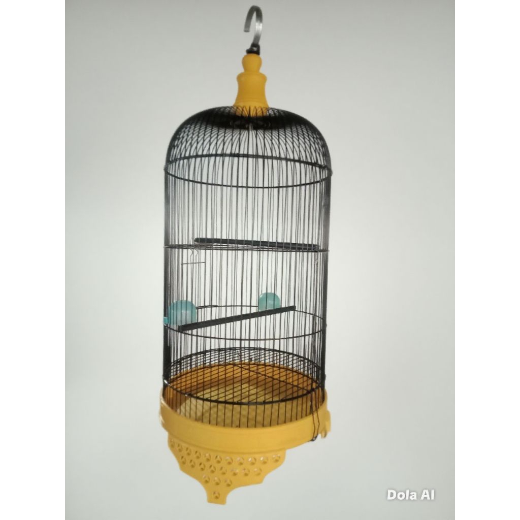 Sangkar besi lovebird