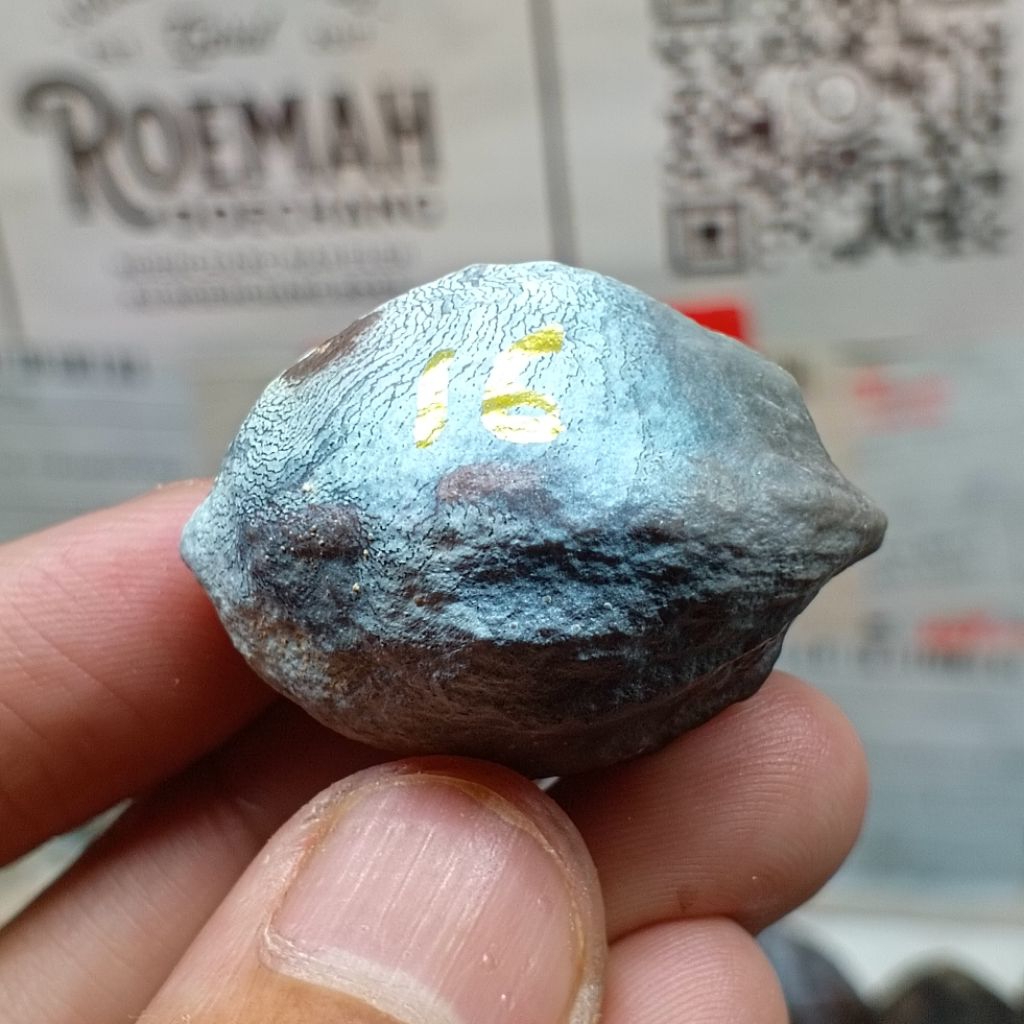 Muncang Adu Jabra Bella kode 16