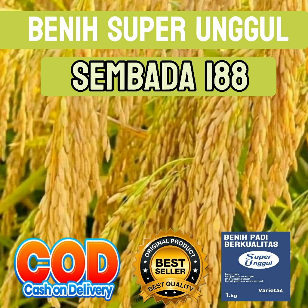 benih padi sembada 188 kemasan 1kg