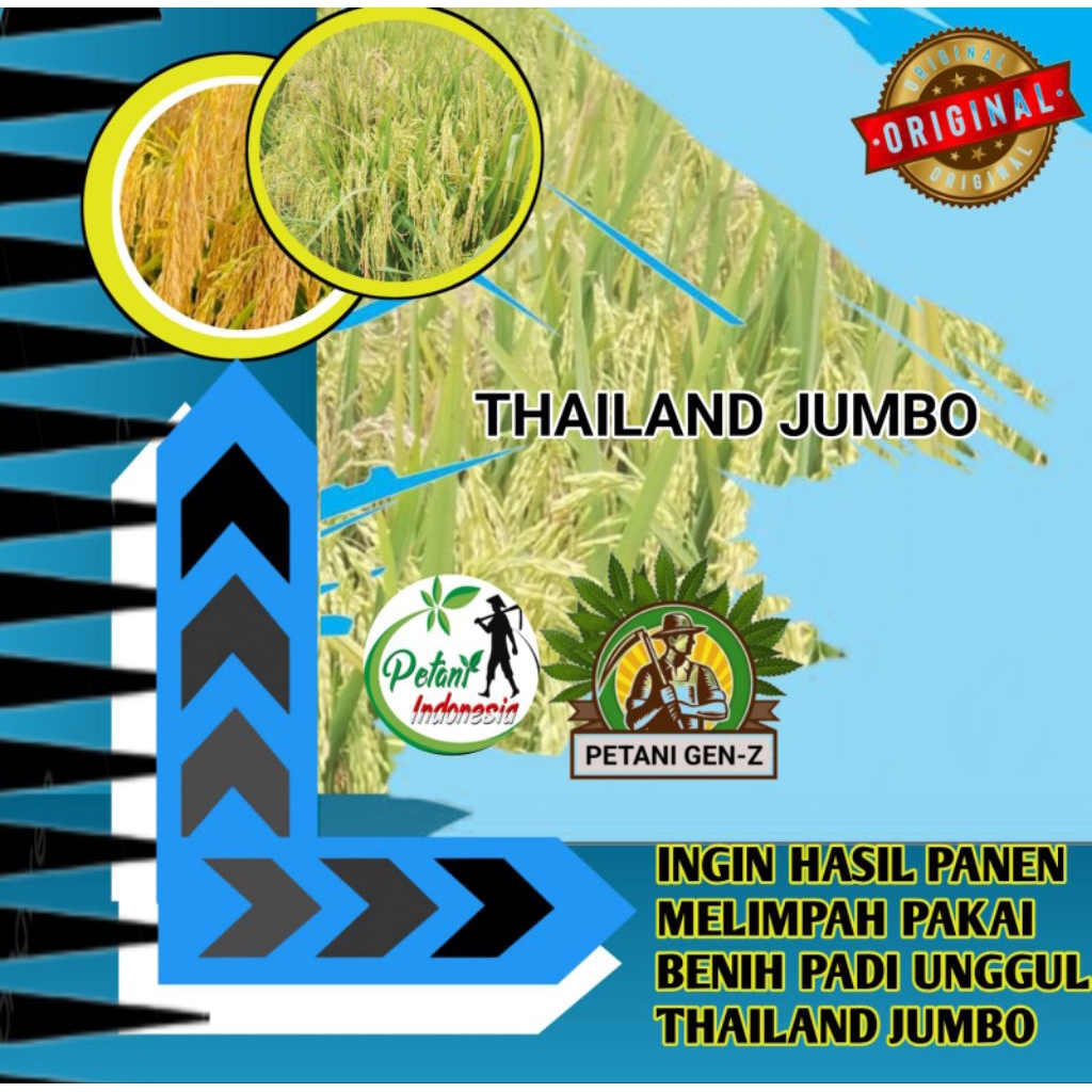 0PADI Unggul Terbaik Thailand Jumbo Aromatik 1kg