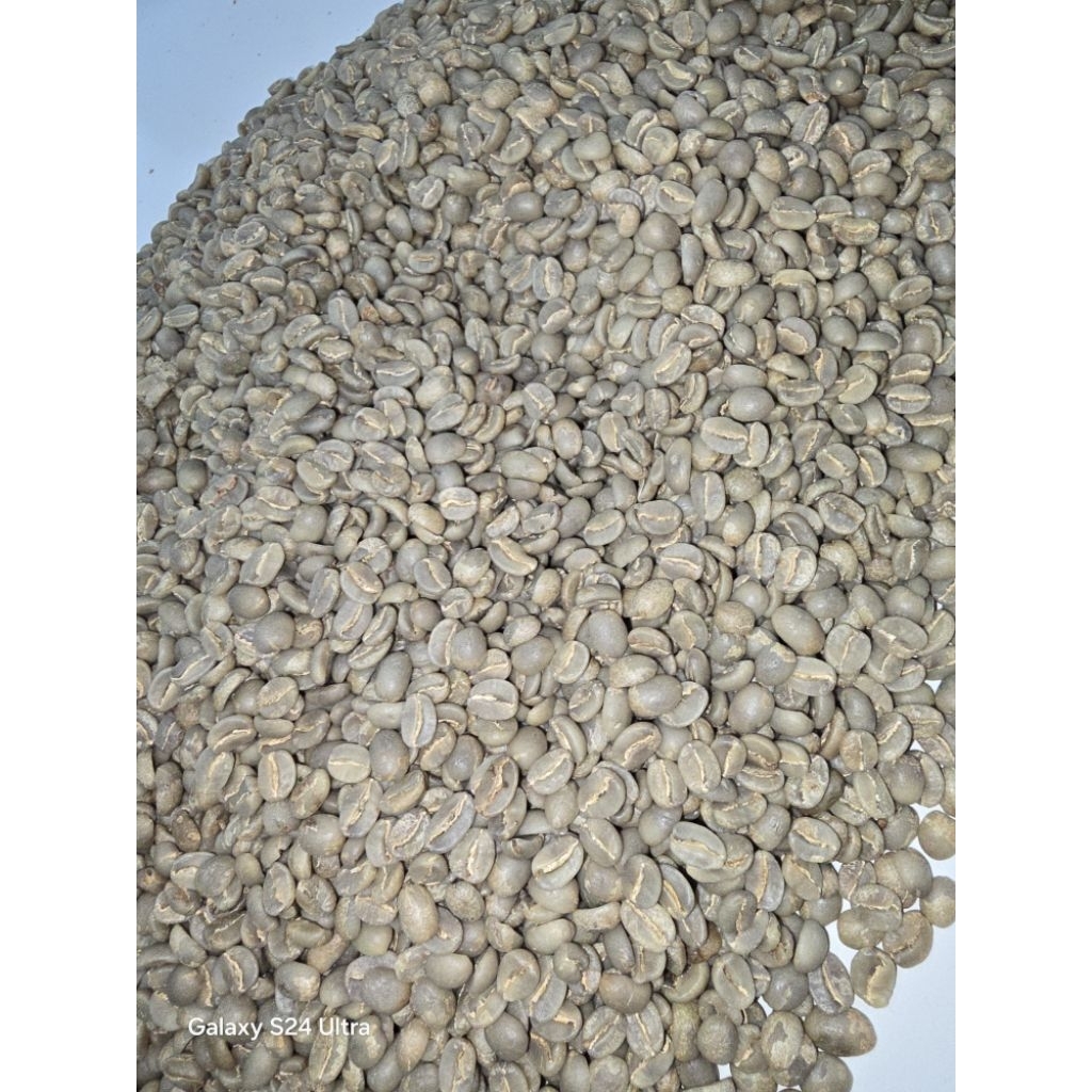 GREENBEAN FINE ROBUSTA TEMANGGUNG 1 KG