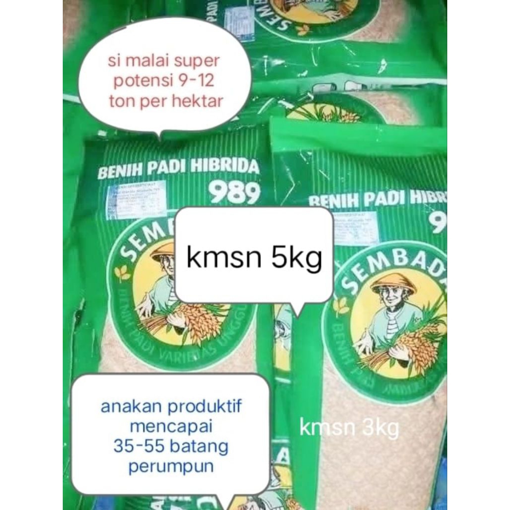 Benih Padi Sembada 989 5kg Kualitas Unggul