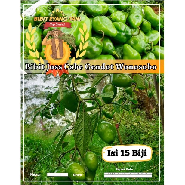 Bibit Joss Cabe Gendot Wonosobo | Biji Benih Cabe Bendot Wonosobo | Cabe Gendot