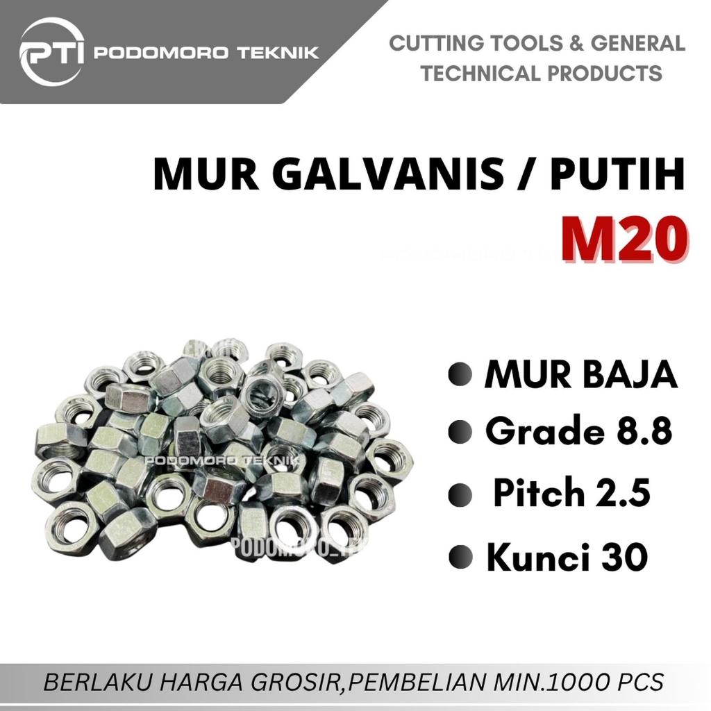 Mur Galvanis Putih M20 Mur Baut M20 Mur M20 Pitch 2.5 mm