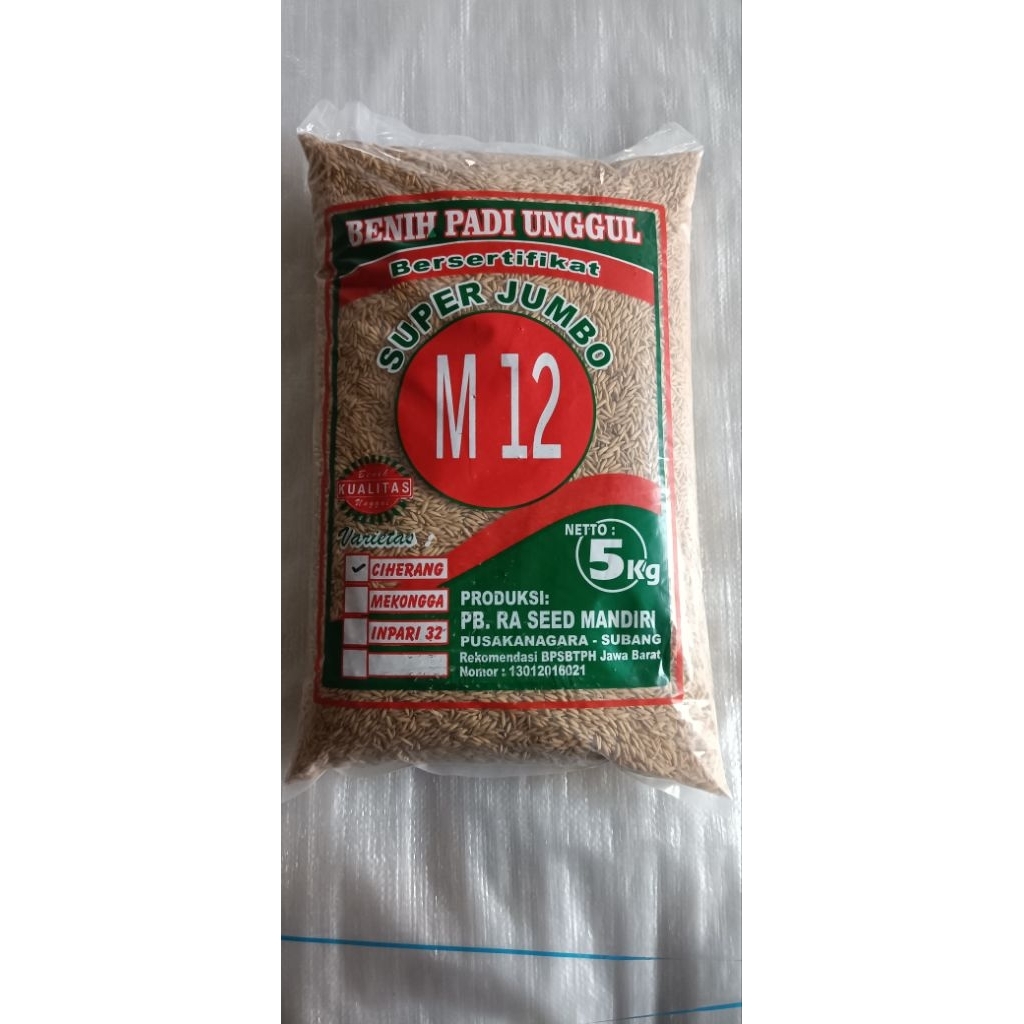 CIHERANG "M12" SUPER JUMBO Kemasan 5 Kg