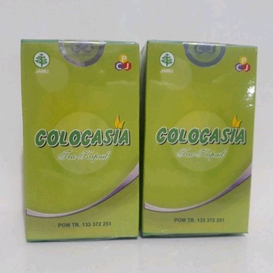 Colocasia Original Membantu Nyeri Sendi Tulang Asli