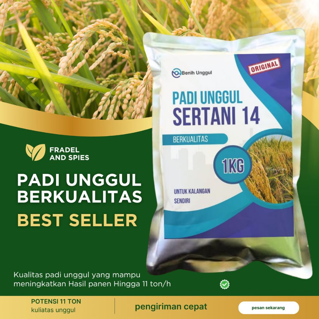 Benih padi bibit Sertani 14 kemasan 1kg