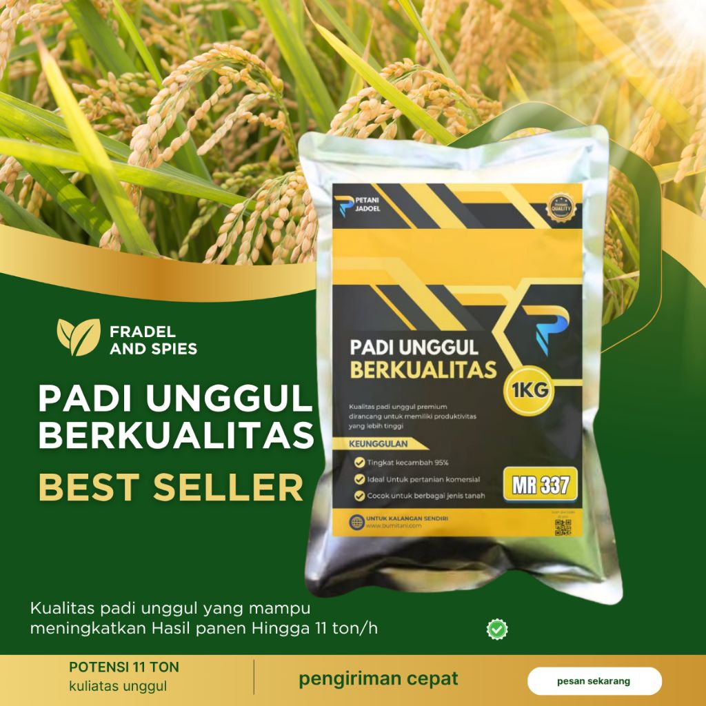 Benih padi unggul Mr337 MR 337 kemasan 1kg -5kg