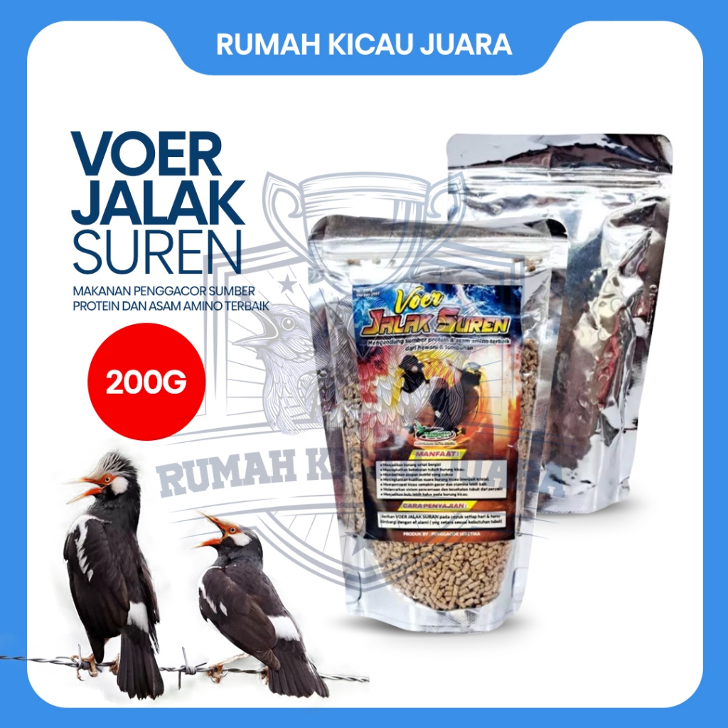 [TERMURAH] Voer Pakan Jalak Suren 200g Makanan Penggacor Sumber Protein Pakan Burung Jalak Suren