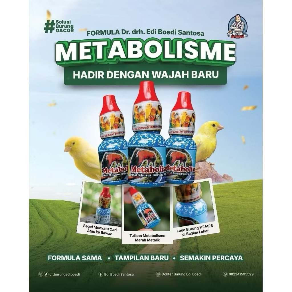 METABOLISME DR EDI BOEDI SANTOSA ORIGINAL