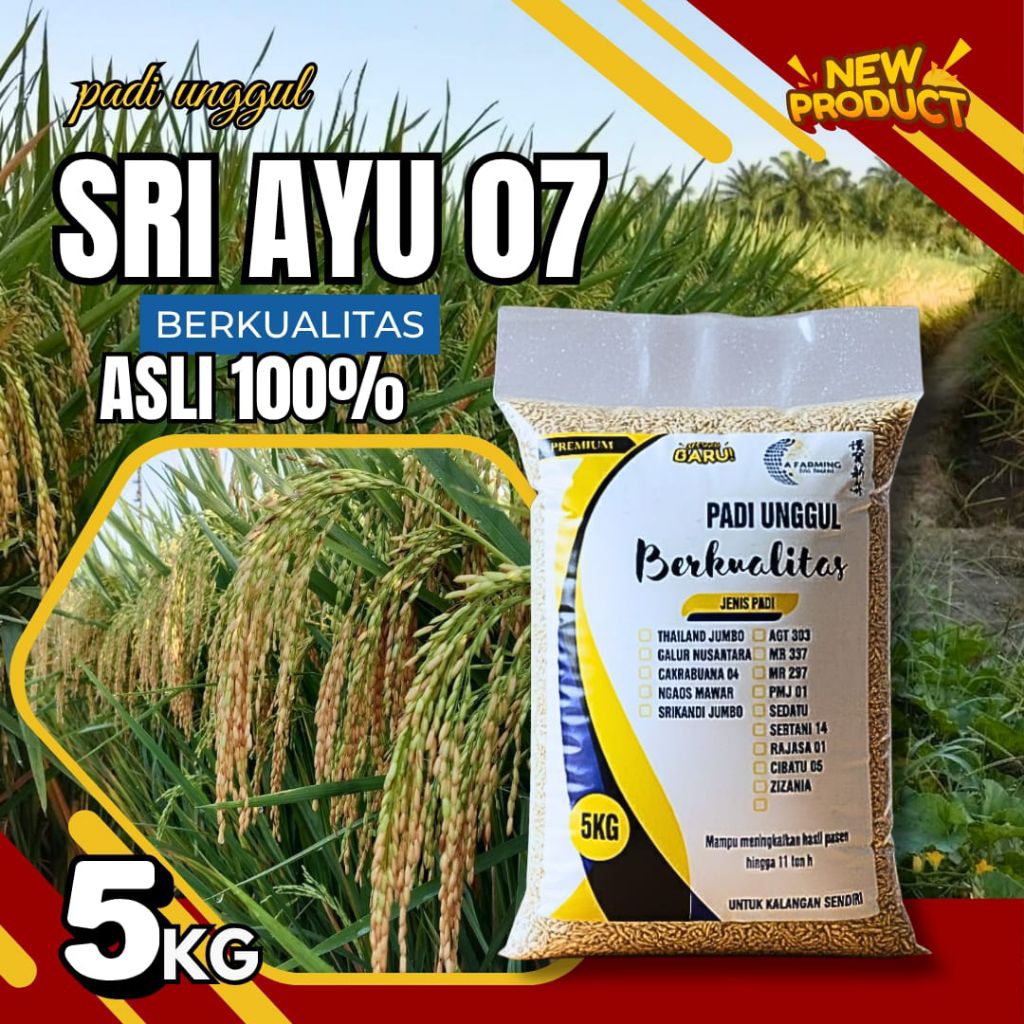 Benih bibit padi unggul Terbaru Sri ayu 07 kemasan 5kg