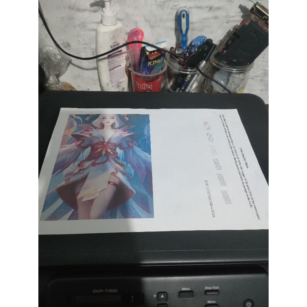 Printer brother DCP T300 Modif