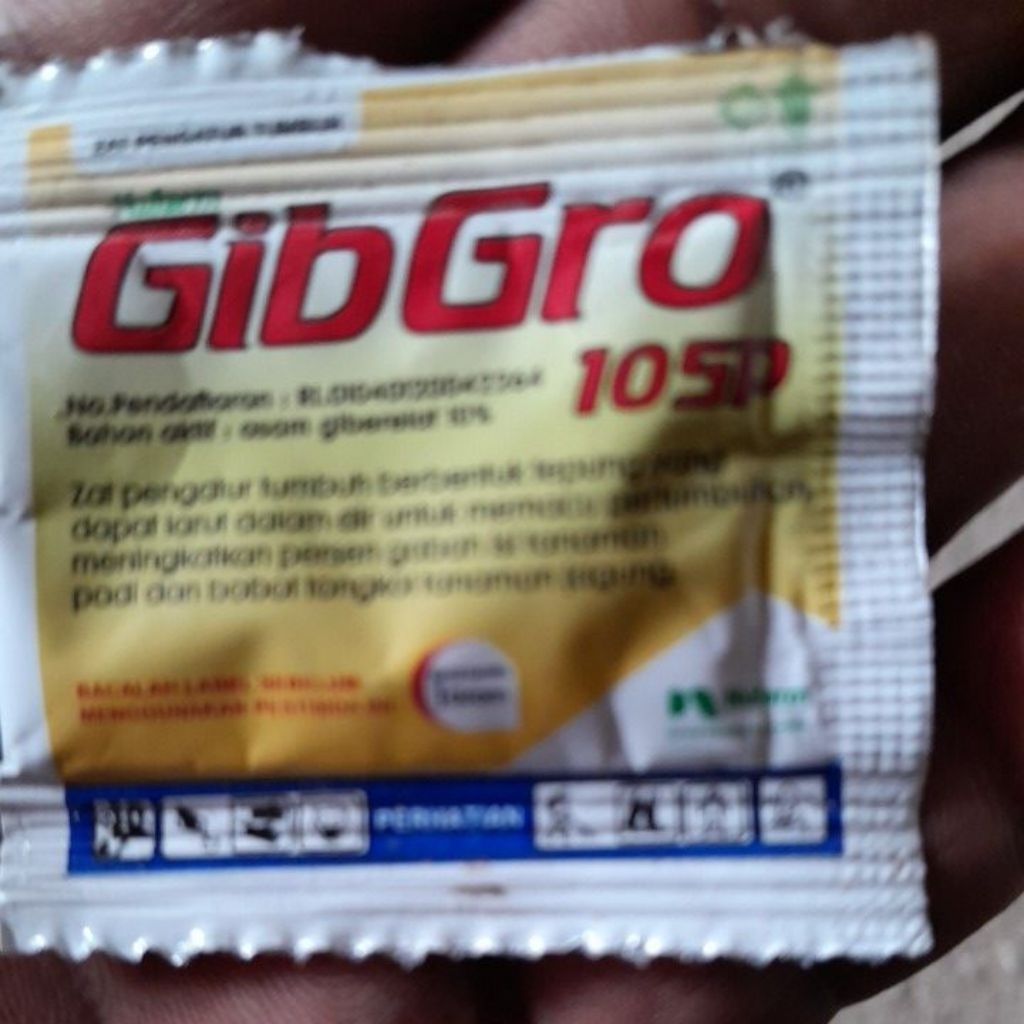 Pupuk perangsang tunas tanaman gibgro 10 sp
