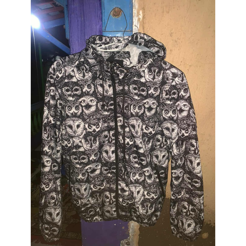 DREAMBIRDS WB DOS VOL 1