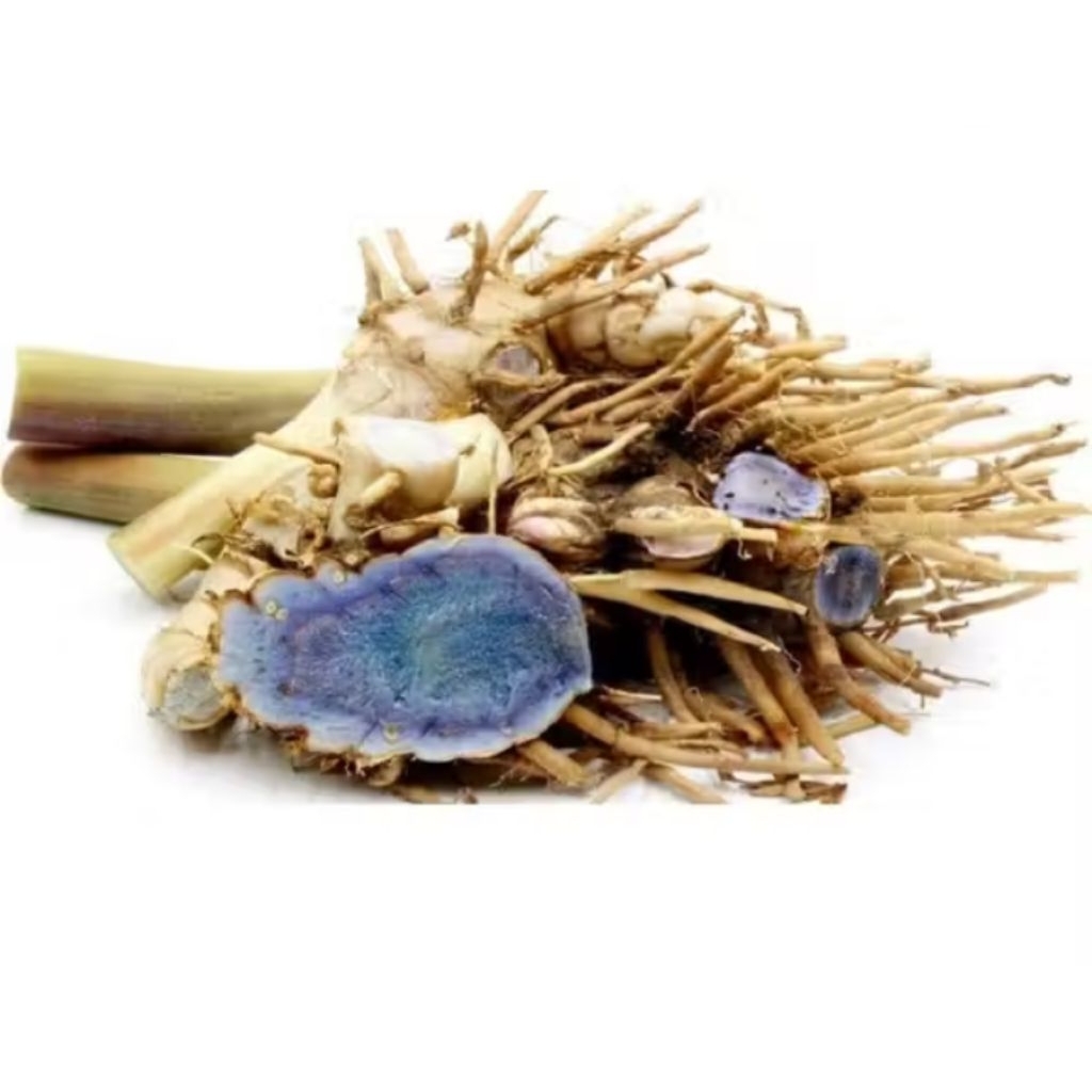 Temu hitam atau kunyit hitam 500 gram