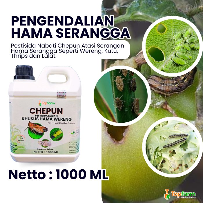 Insektisida Topfarm / Pestisida Wereng Ampuh / Pestisida Pembasmi Hama Wereng / Pestisida Hama Weren
