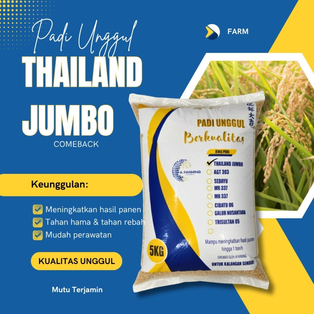 Padi Unggul THAILAND JUMBO kemasan 1- 5kg Benih padi THAILAND JUMBO 5 KG Benih bibit padi Thailand j