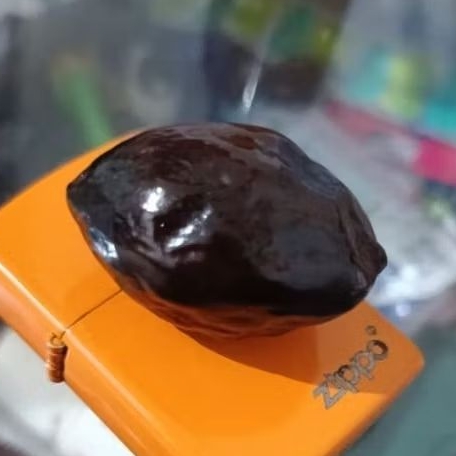 muncang adu jawaan Mayit jalim jawa ori yanti 4G super nyonyo