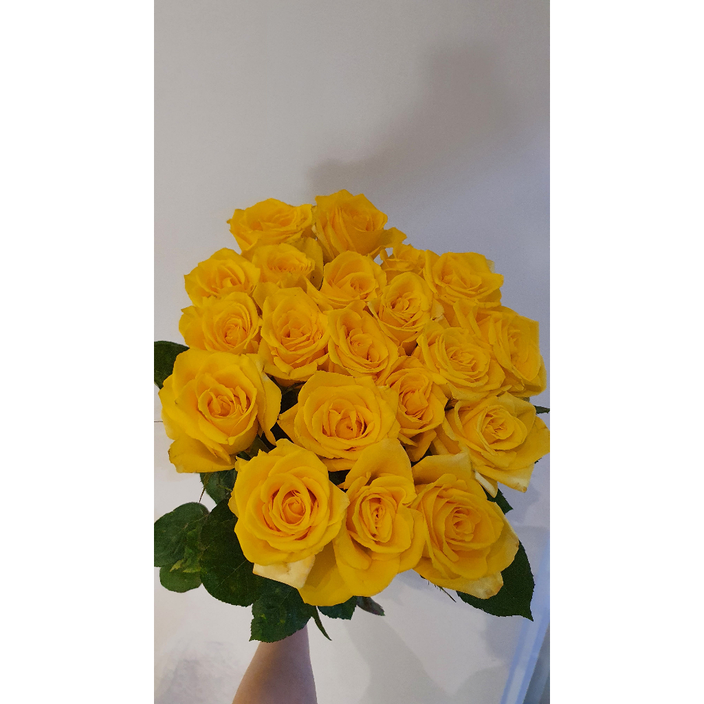 Bunga Mawar Kuning Asli isi 1 Tangkai/Mawar Potong/Bunga Potong/Bunga Mawar Segar/Bunga Mawar Asli/M