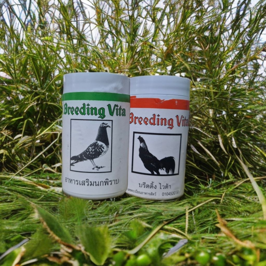 Breeding vita obat ayam petarung