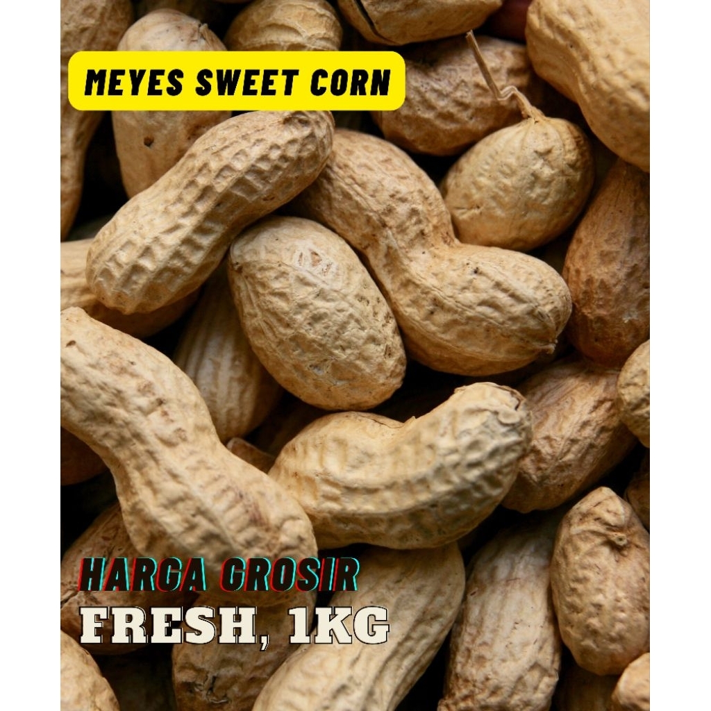 KACANG tanah Mentah , Fresh 1 Kg harga Grosir , kacang pilihan