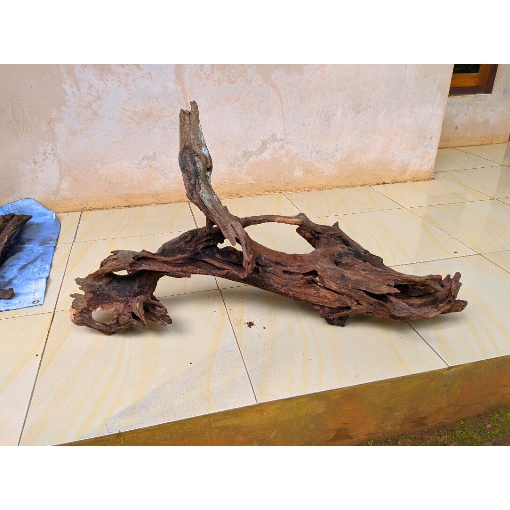 Akar Hiasan Aquarium aquascape